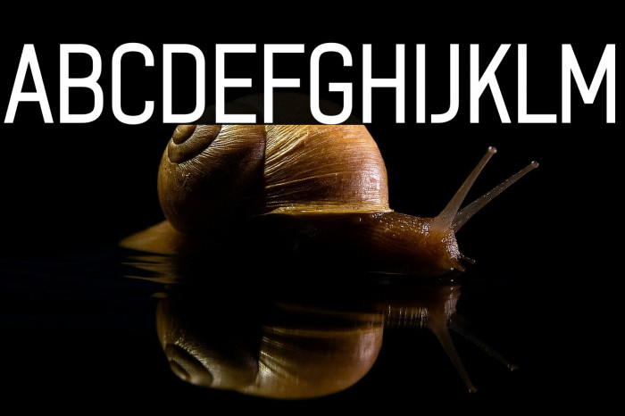 ZF2334 After A Rain Example 1