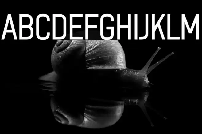 ZF2334 After A Rain Font examples