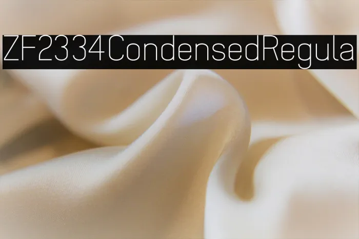 ZF2334 Condensed Regular Example 2