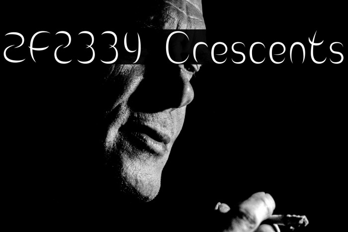 ZF2334 Crescents Example 3