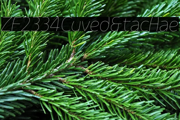ZF2334 Curved & Italic Hairline Example 1