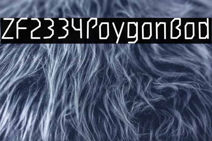 ZF2334 Polygon Bold Example 1