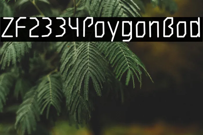 ZF2334 Polygon Bold Example 2