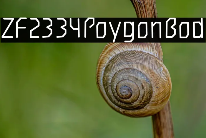 ZF2334 Polygon Bold Example 3