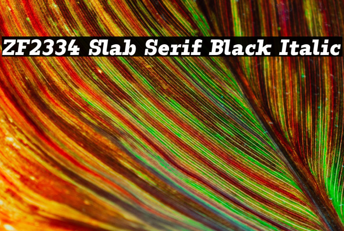 ZF2334 Slab Serif Black Italic Example 1