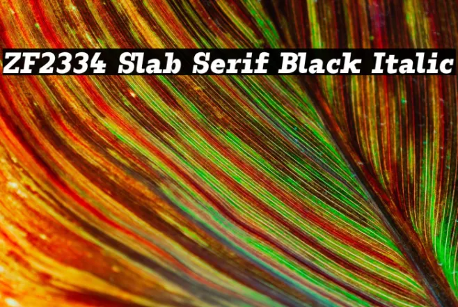 ZF2334 Slab Serif Black Italic Example 1
