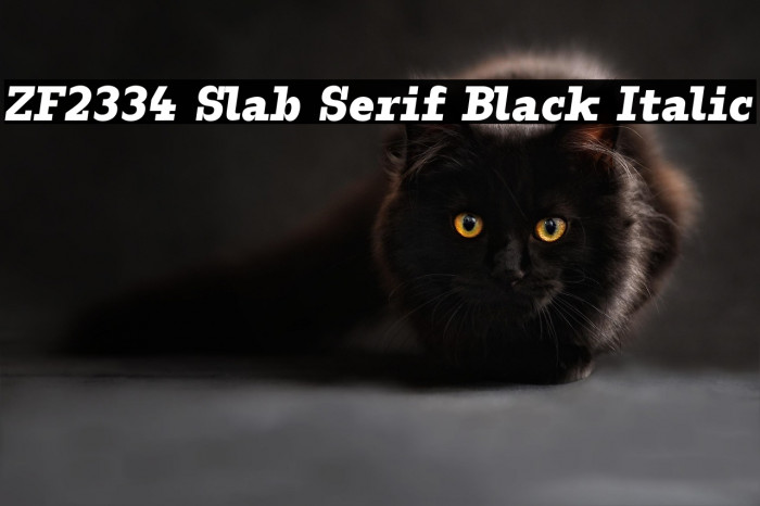 ZF2334 Slab Serif Black Italic Example 3