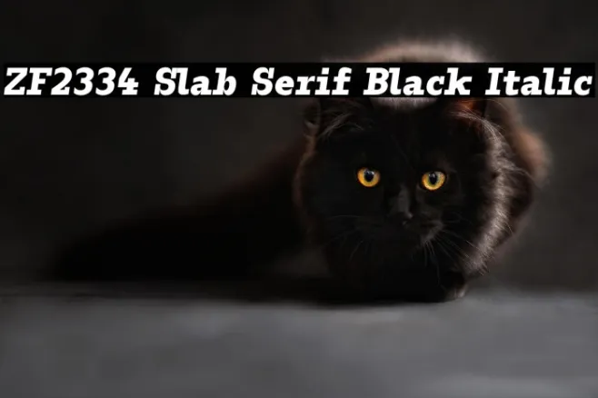 ZF2334 Slab Serif Black Italic Example 3