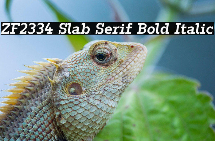 ZF2334 Slab Serif Bold Italic Example 2