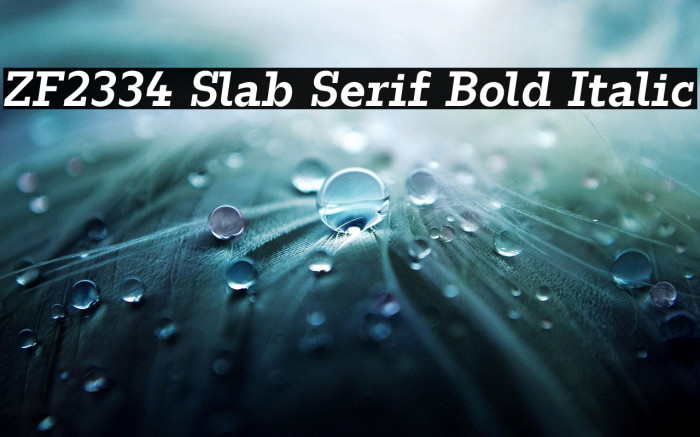 ZF2334 Slab Serif Bold Italic Example 3