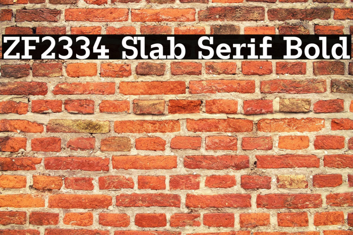 ZF2334 Slab Serif Bold Example 1