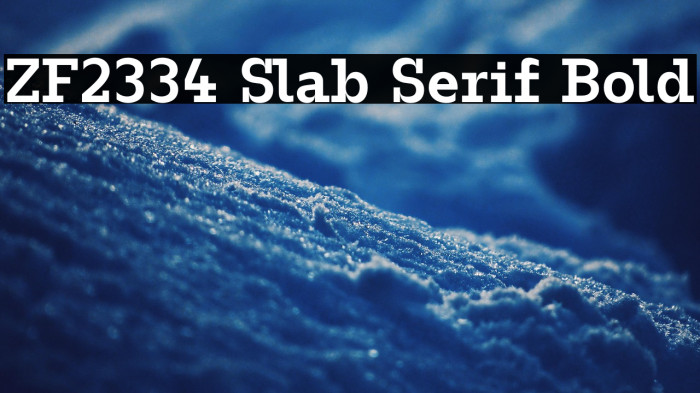 ZF2334 Slab Serif Bold Example 2