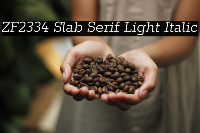 ZF2334 Slab Serif Light Italic Example 1