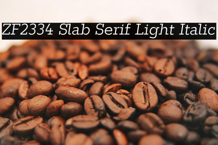 ZF2334 Slab Serif Light Italic Example 2