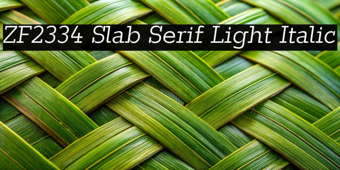 ZF2334 Slab Serif Light Italic Example 3
