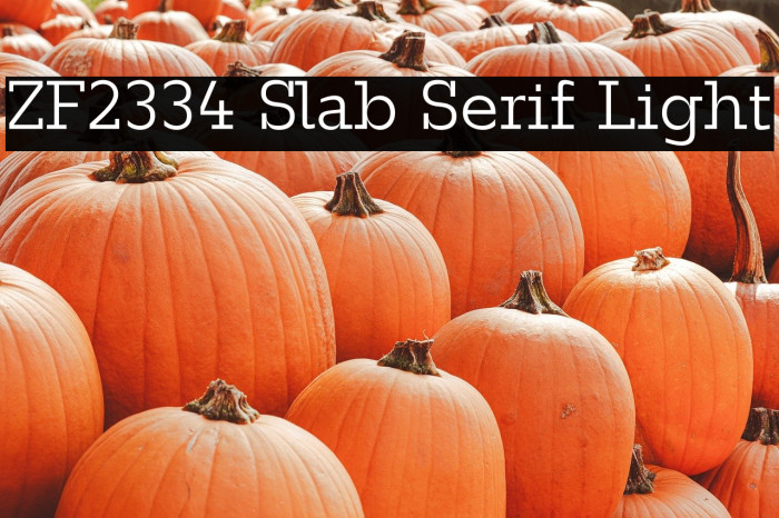 ZF2334 Slab Serif Light Example 2