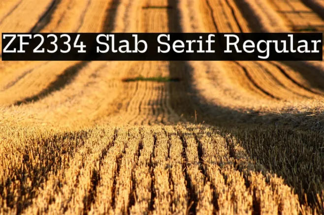 ZF2334 Slab Serif Regular Example 1