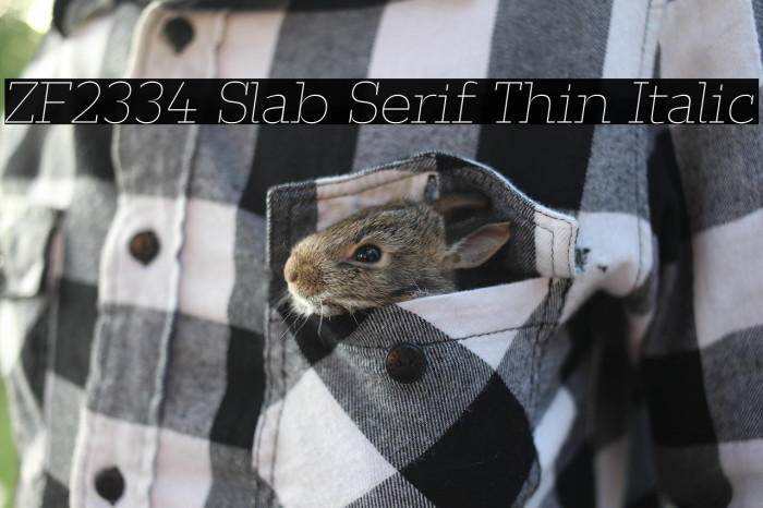 ZF2334 Slab Serif Thin Italic Example 1