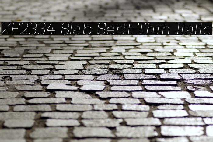 ZF2334 Slab Serif Thin Italic Example 2