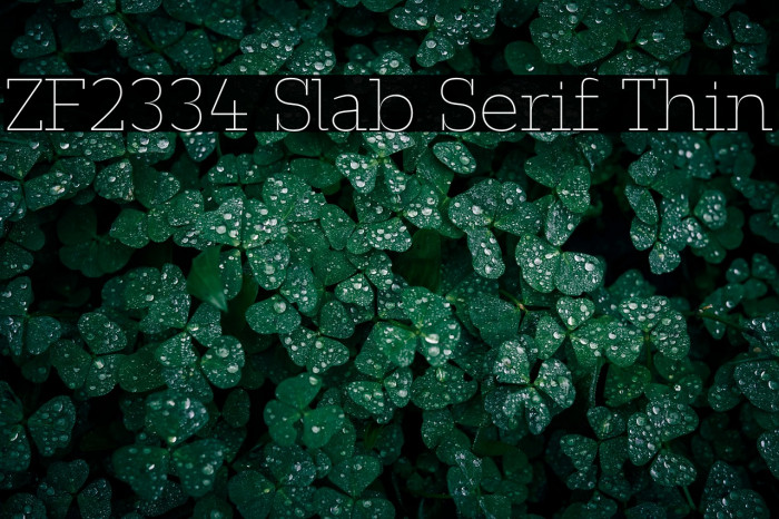 ZF2334 Slab Serif Thin Example 2