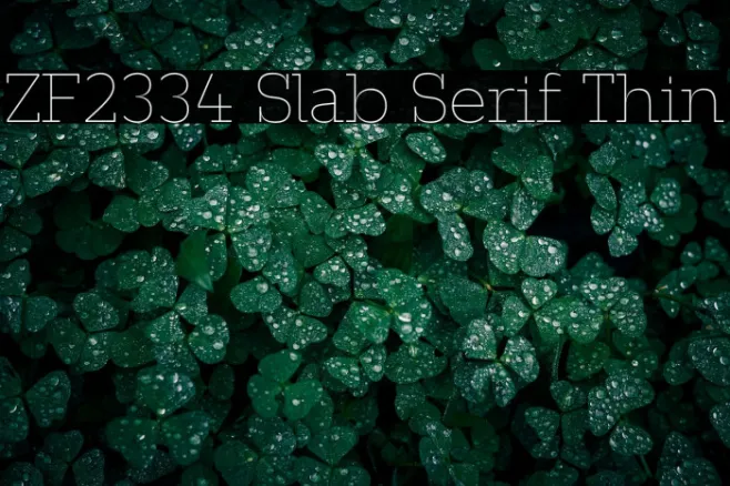 ZF2334 Slab Serif Thin Example 2