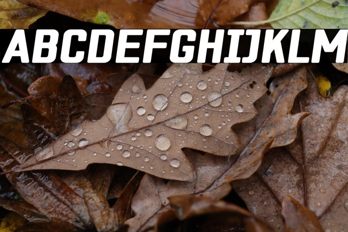 ZF2334 Square Black Italic Example 1