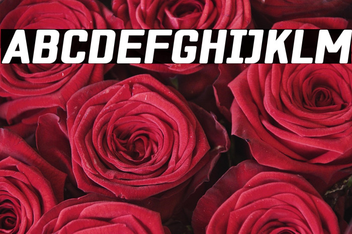 ZF2334 Square Black Italic Example 2