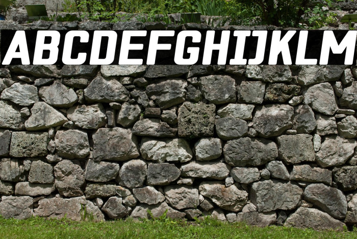 ZF2334 Square Black Italic Example 3