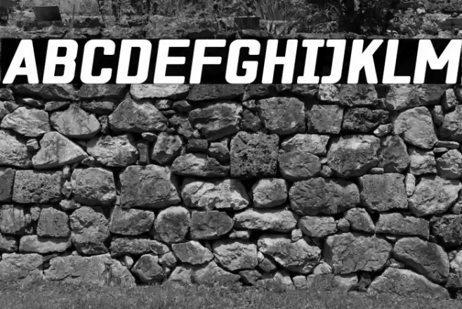 ZF2334 Square Black Italic 字体 examples