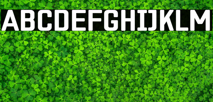 ZF2334 Square Bold Example 1