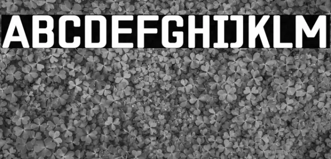 ZF2334 Square Bold Fuentes examples