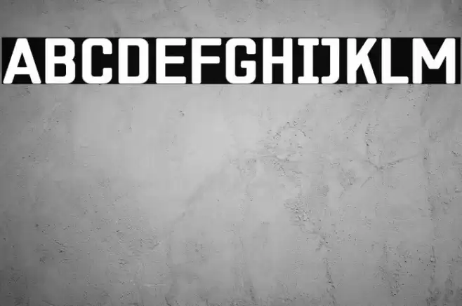 ZF2334 Square Bold Fuentes examples