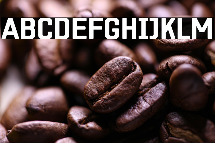 ZF2334 Square Bold Example 3