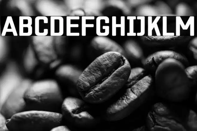 ZF2334 Square Bold Fuentes examples