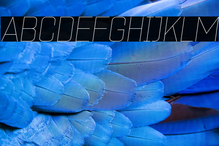 ZF2334 Square Hairline Italic Example 1