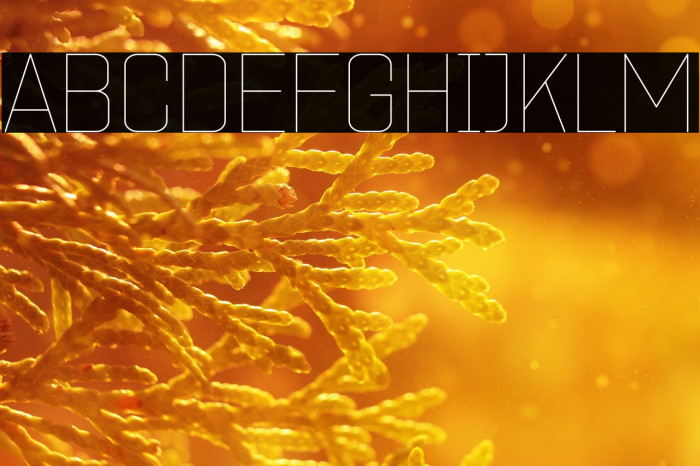 ZF2334 Square Hairline Schriftart examples