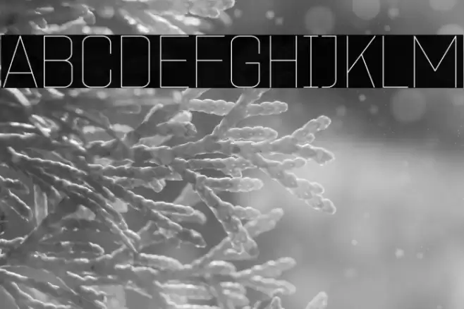 ZF2334 Square Hairline Caratteri examples