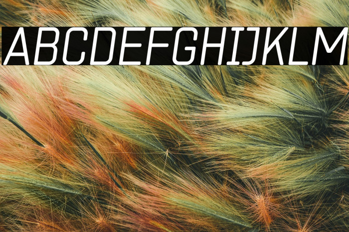 ZF2334 Square Light Italic Example 1