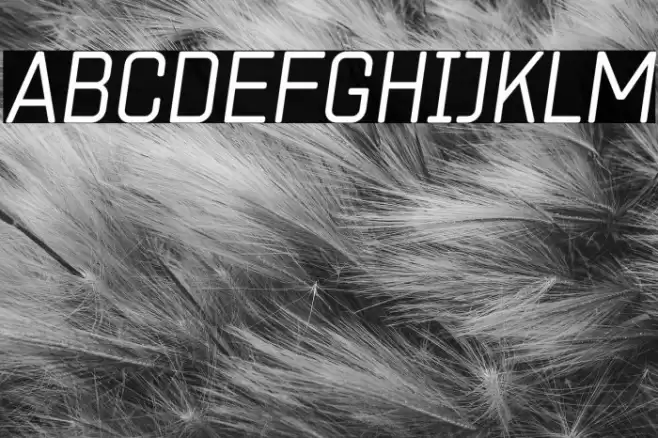 ZF2334 Square Light Italic Font examples