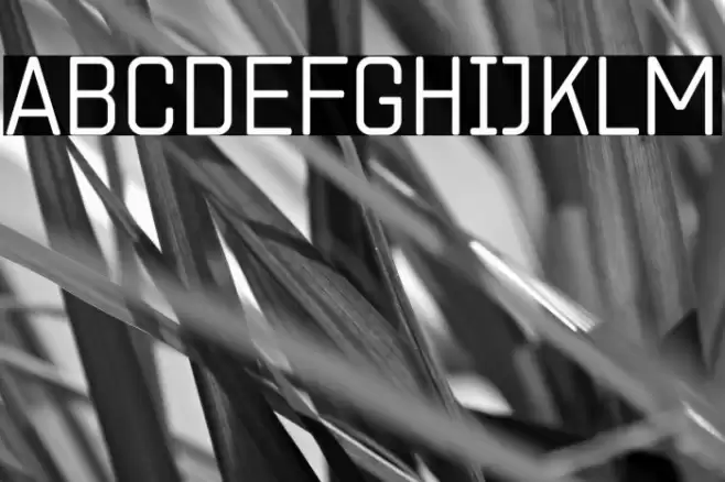 ZF2334 Square Light フォント examples