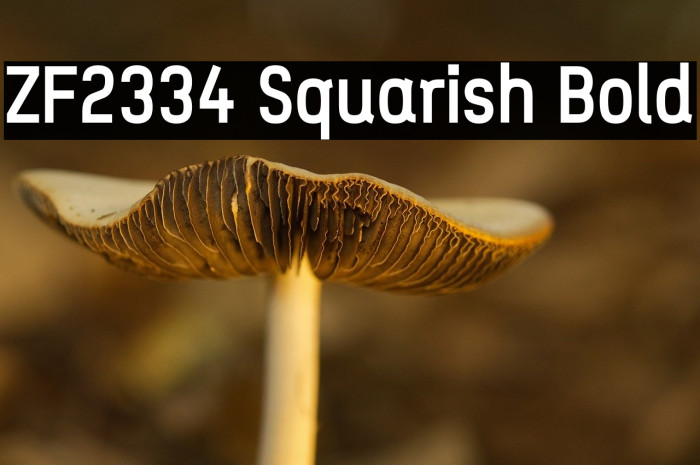 ZF2334 Squarish Bold Example 3