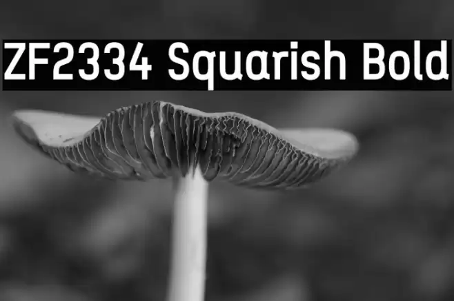 ZF2334 Squarish Bold Font examples