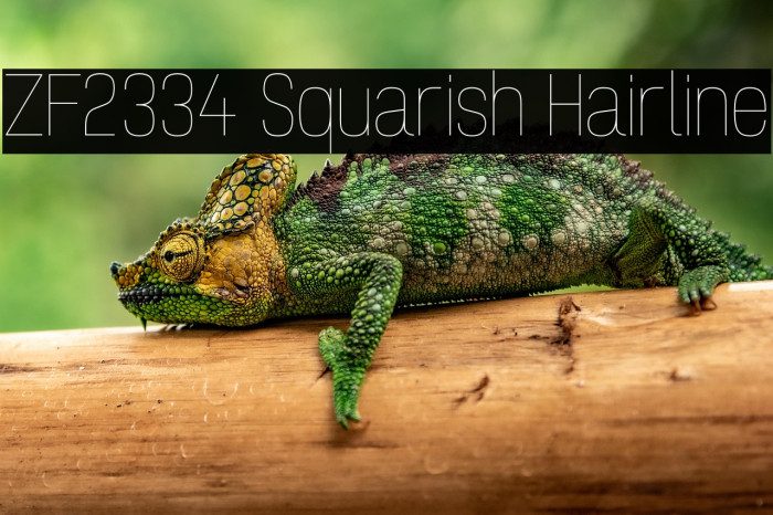 ZF2334 Squarish Hairline Example 3