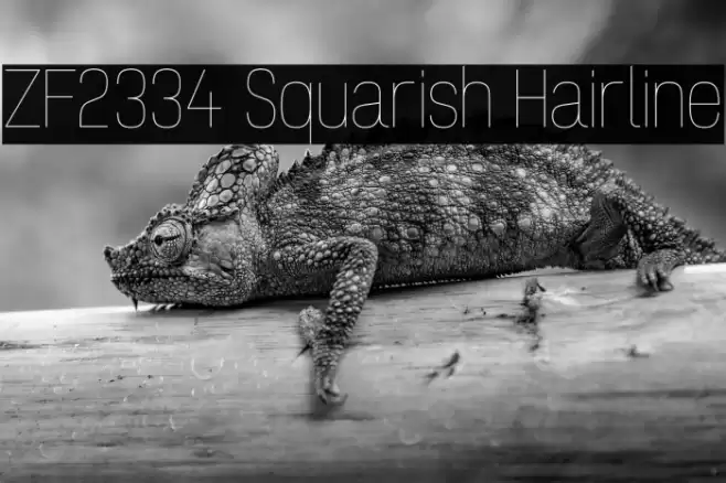 ZF2334 Squarish Hairline Font examples