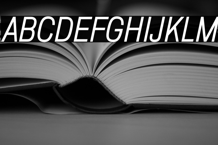 ZF2334 Squarish Regular Italic Example 2