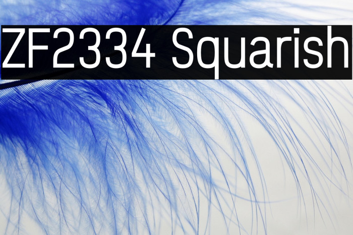 ZF2334 Squarish Example 1