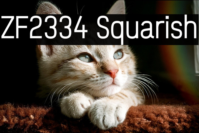 ZF2334 Squarish Example 3