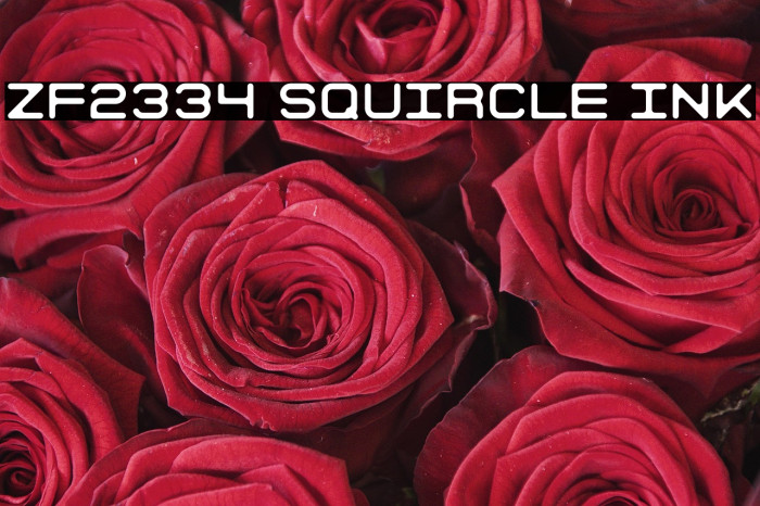 ZF2334 Squircle Ink Example 3