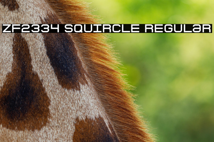 ZF2334 Squircle Regular Example 1