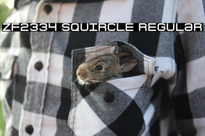 ZF2334 Squircle Regular Example 3